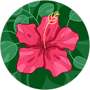 Elsa L profile picture